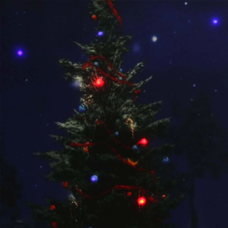 LED Lighted Decorated Christmas Tree At Night With Stars Canvas Wall Art