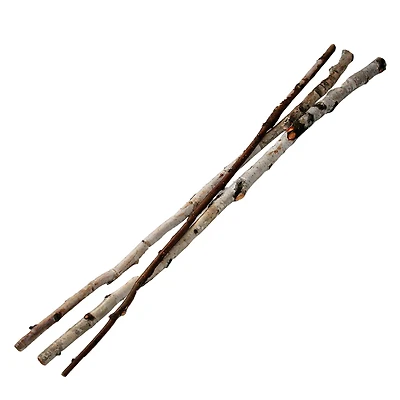 Wilson® Enterprises Birch Sticks, 3ct.