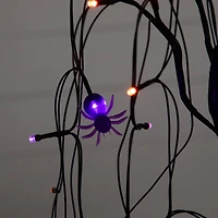 2ft. Pre-Lit Halloween Artificial Black Spooky Spider Willow Tree with 60 Orange & Purple LED Lights