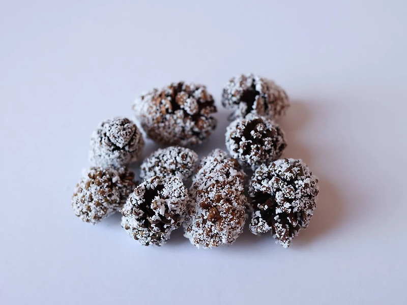 4oz. Mini Pinecones by Ashland