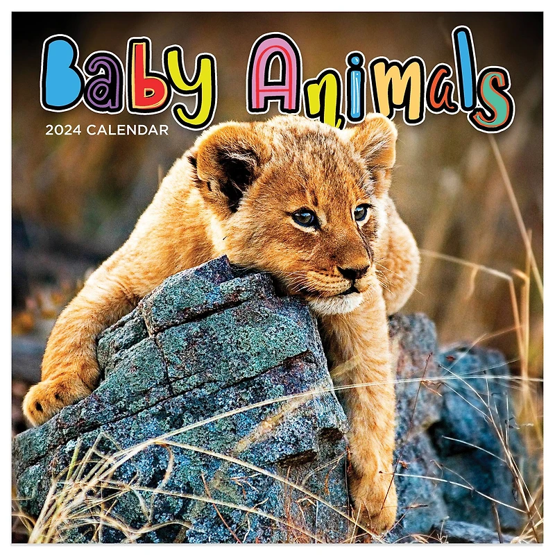 TF Publishing Baby Animals Mini Calendar