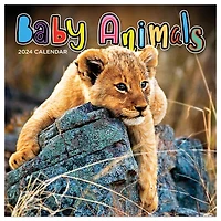 TF Publishing Baby Animals Mini Calendar