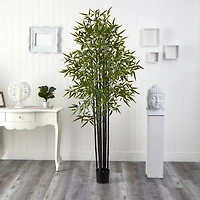 6ft. Potted Black Bamboo Tree