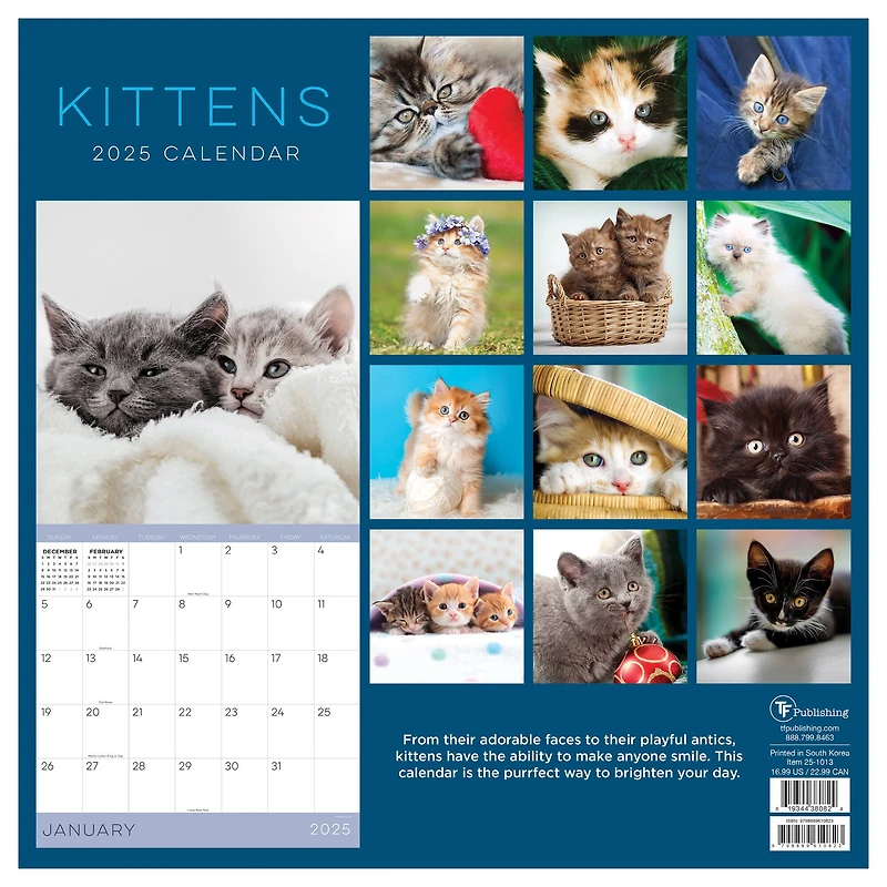TF Publishing 2025 Kittens Wall Calendar