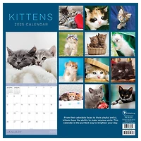 TF Publishing 2025 Kittens Wall Calendar