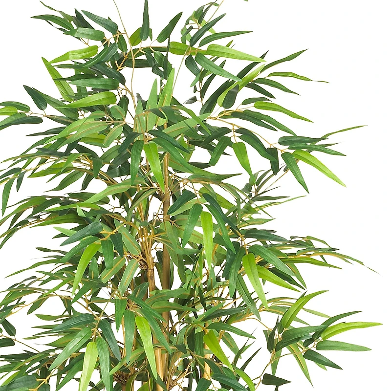 5.3ft. Potted Bamboo Tree