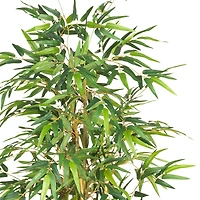 5.3ft. Potted Bamboo Tree