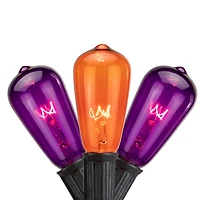 10ct. Purple & Orange Edison E17 Halloween Light Set