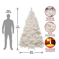 7ft. Pre-Lit Winchester White Pine Artificial Christmas Tree, Clear Lights