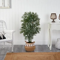 4ft. Parlor Palm Artificial Tree in Boho Chic Handmade Natural Cotton Woven Planter with Tassels