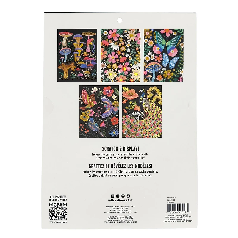 Brea Reese™ 9" x 12" Spring Sightings Scratch Art Paper Pad