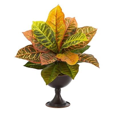 14" Garden Croton Plant in Metal Chalice