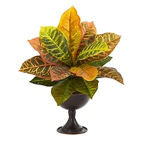 14" Garden Croton Plant in Metal Chalice