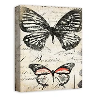Double Butterfly 12" x 16" Canvas Wall Art