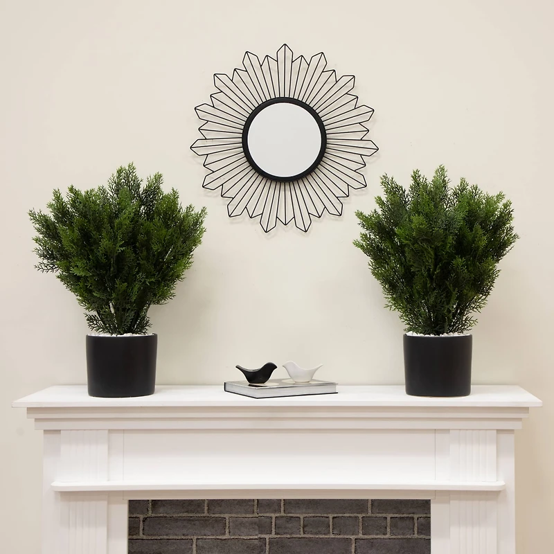 2ft. Potted UV Resistant Cedar Bushes, 2ct.