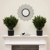 2ft. Potted UV Resistant Cedar Bushes, 2ct.