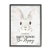 Stupell Industries Don't Worry Be Hoppy Easter Bunny Rabbit Pun Framed Giclee Art