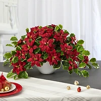 20" Poinsettia & Variegated Holly Plant in Oval White Planter