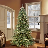 7.5ft. Pre-Lit Royal Majestic Douglas Fir Downswept Artificial Christmas Tree, Clear Lights