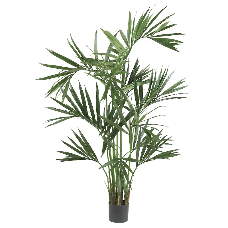 6ft. Potted Single-Trunk Kentia Palm Silk Tree