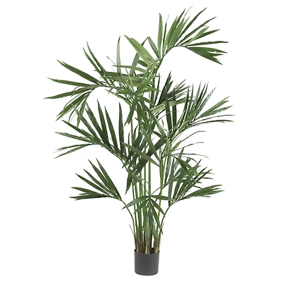 6ft. Potted Single-Trunk Kentia Palm Silk Tree