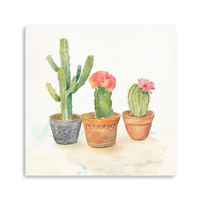 Cactus Pots III Canvas Giclee