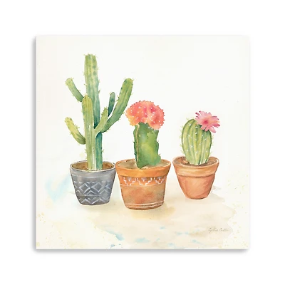 Cactus Pots III Canvas Giclee