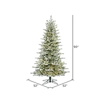 7.5ft. Pre-Lit Frosted Eastern Fraser Fir Artificial Christmas Tree, Warm White LED Lights