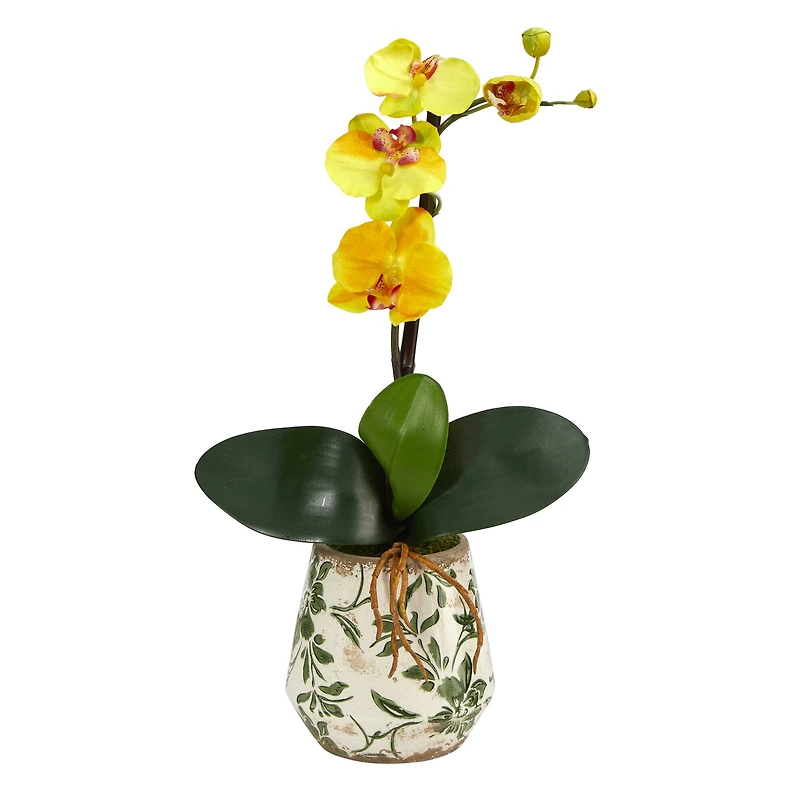18" Mini Moth Orchid in Floral Vase