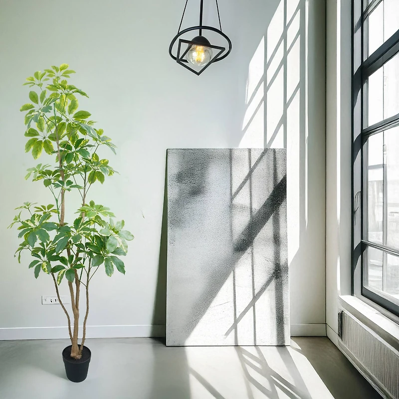 5ft. Potted Variegated Schefflera Tree by Ashland®