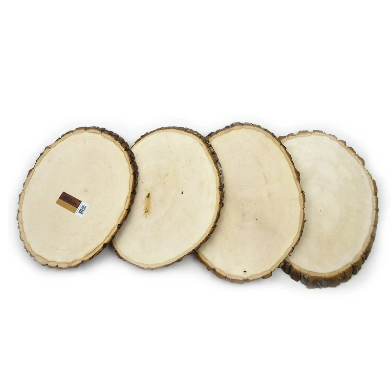 Wilson® Enterprises 20 Pack Small Basswood Plaque