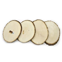 Wilson® Enterprises 20 Pack Small Basswood Plaque