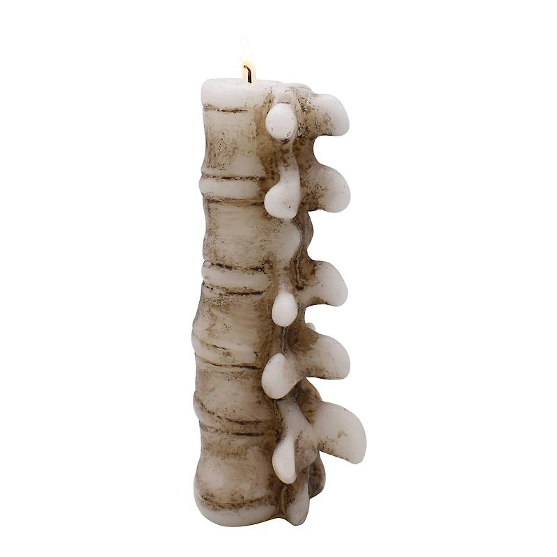 8" Spine Shaped Candle by Ashland®