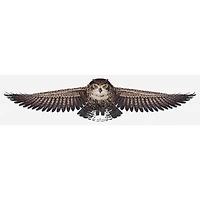 Luca-S The Owl Counted Cross Stitch Kit