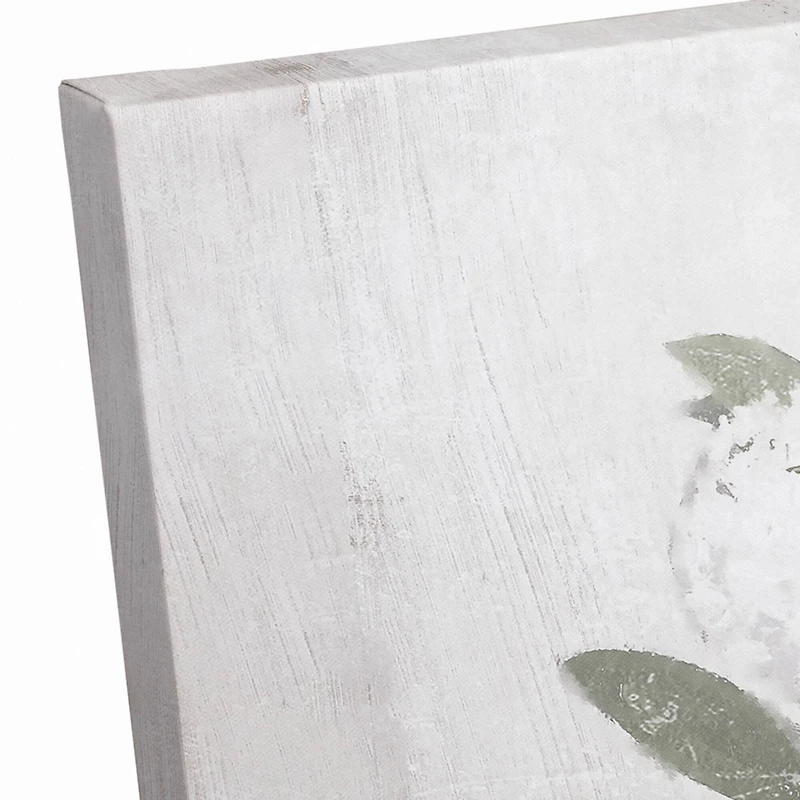 White Hydrangeas 30" x 24" Canvas Wall Art