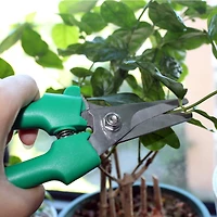 12 Pack: Stainless Steel Floral Snips by Ashland™