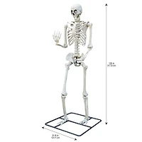 10ft. Oversized Posable Skeleton by Ashland®