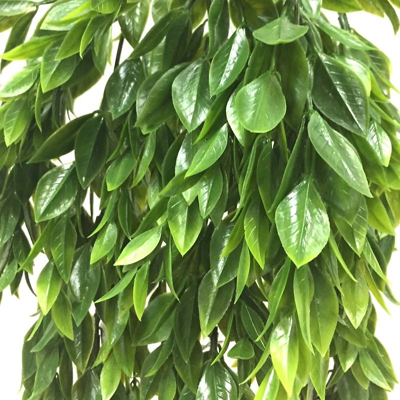 Hanging Ruscus Bush by Ashland®