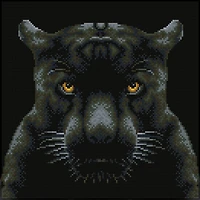 Diamond Dotz® Intermediate if Looks Could Kill Diamond Painting Kit