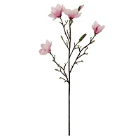 40" Magnolia Oversized Stem by Ashland