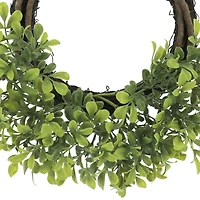 12" Mini Boxwood Wreath by Ashland®