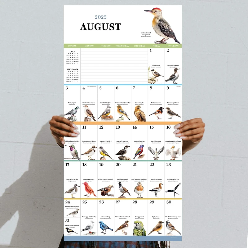 TF Publishing 2025 Birds: Backyard & Beyond Wall Calendar