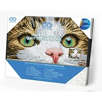 Diamond Dotz® Intermediate Green Eyed Beauty with Frame Diamond Painting Kit