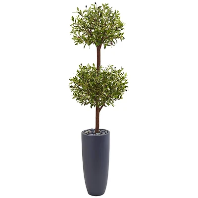 6ft. Double Olive Tree in Gray Planter