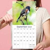 TF Publishing Backyard Birds Mini Calendar