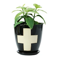 Hello Honey® 6" Black Stoneware Planter with Saucer & Wax Relief White Swiss Cross Set