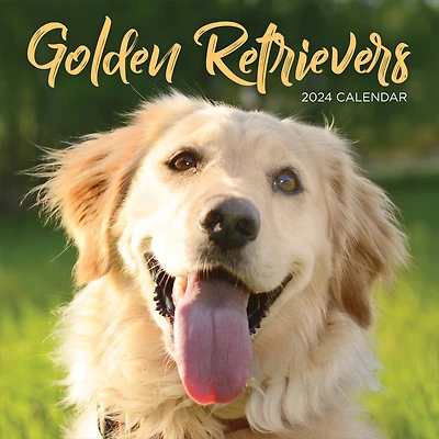 TF Publishing 2024 Golden Retrievers Wall Calendar