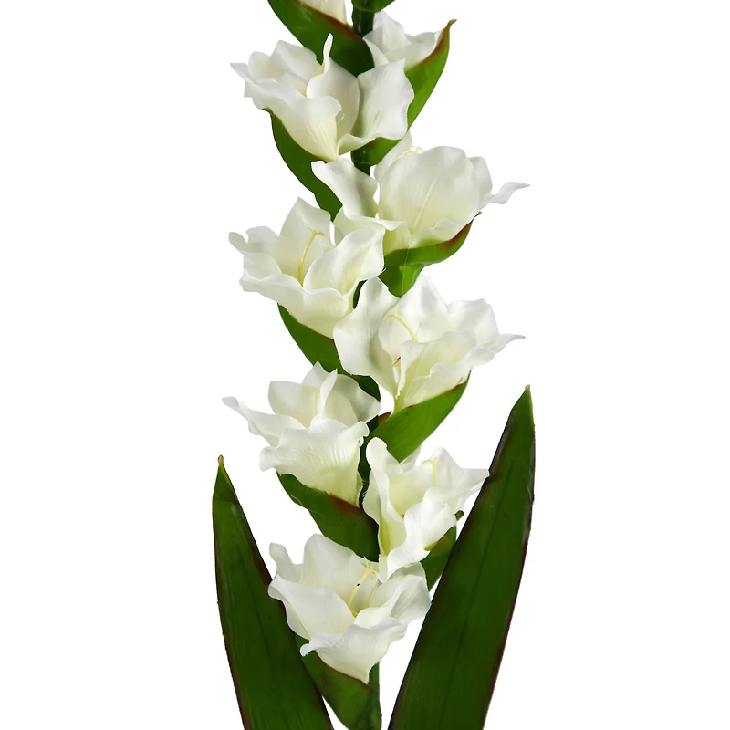 White Gladiolus Flower Stems, 3ct.