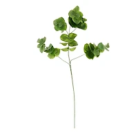 12 Pack: Green Eucalyptus Branch by Ashland