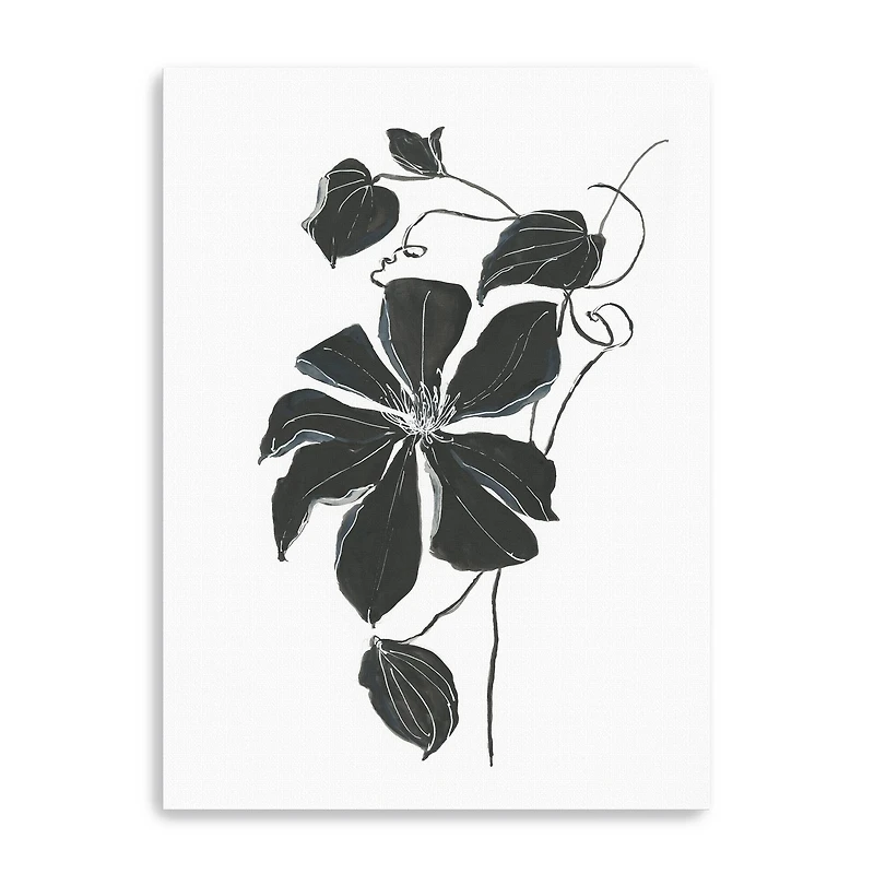 Midnight Climber I Canvas Giclee